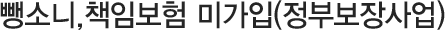 뺑소니,책임보험 미가입(정부보장사업)